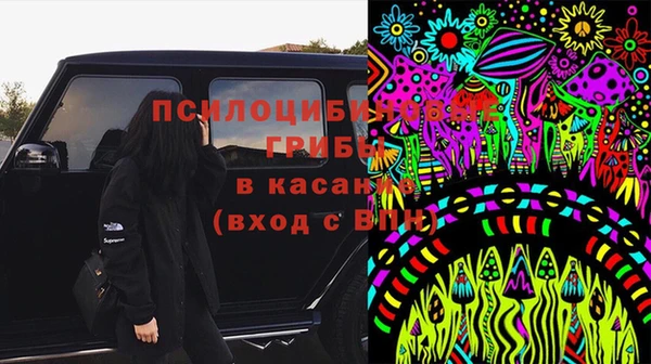 бошки Аркадак