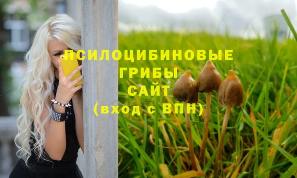 бошки Аркадак