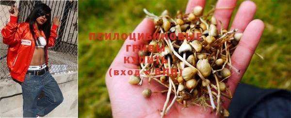 бошки Аркадак