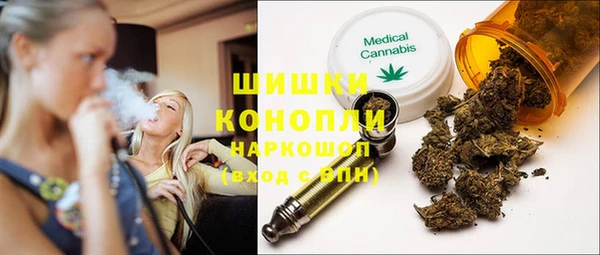 гидра Медвежьегорск