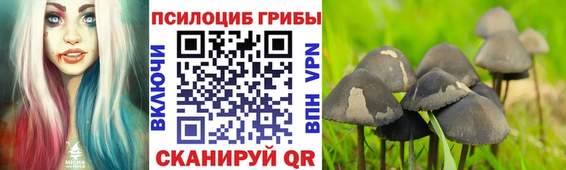 цены   Руза  Галлюциногенные грибы Magic Shrooms 